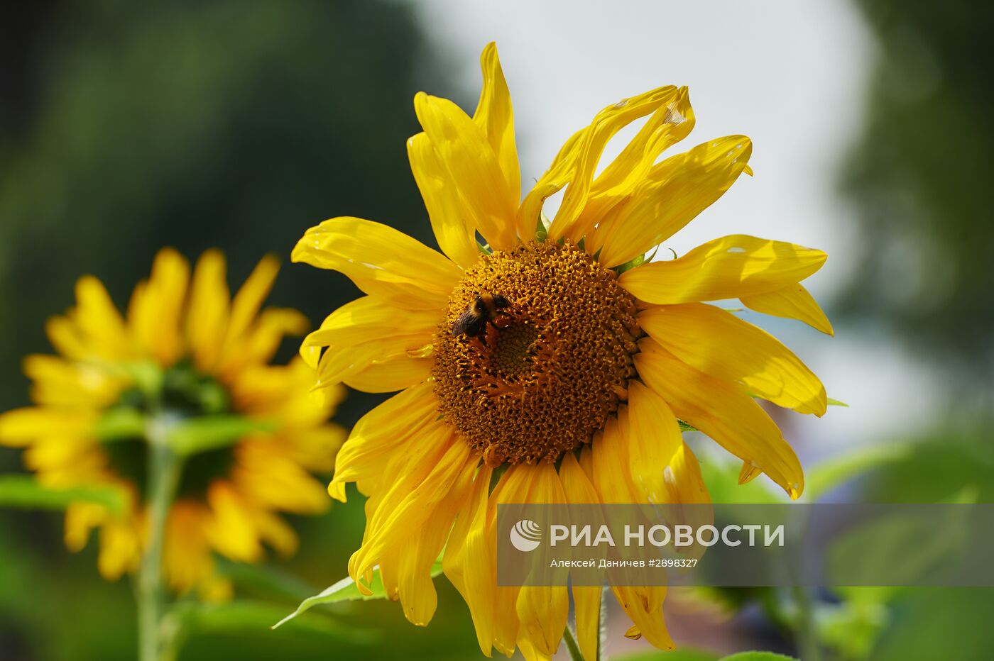 Туристическая деревня Верхние Мандроги