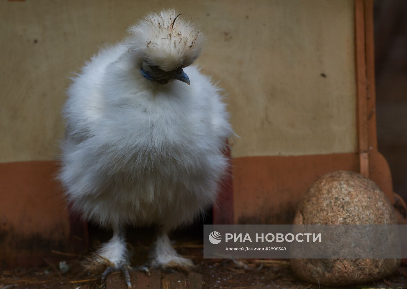 Туристическая деревня Верхние Мандроги