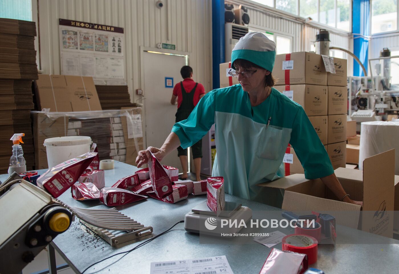 Производство чая в Сочи