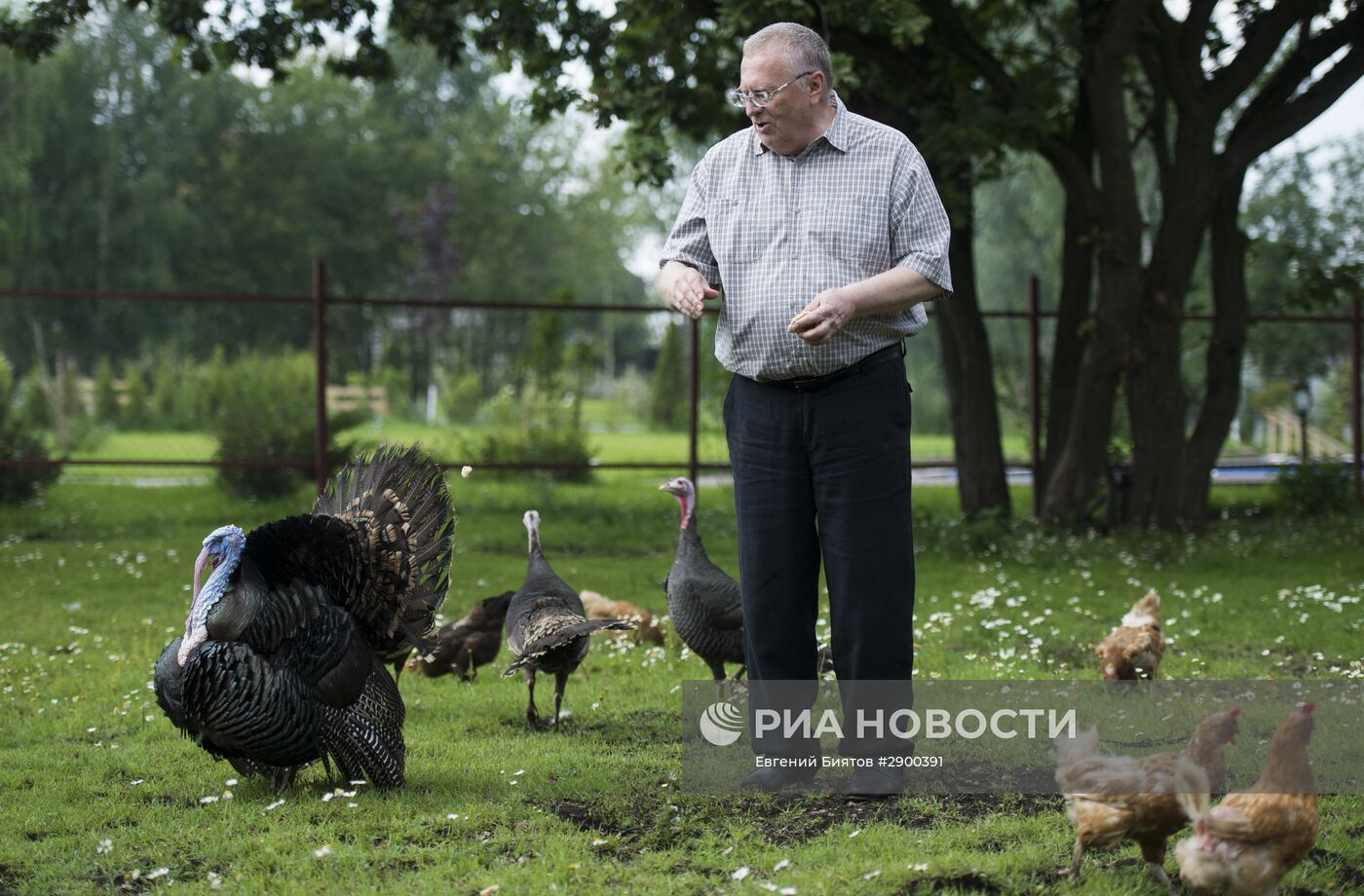 Ферма Владимира Жириновского