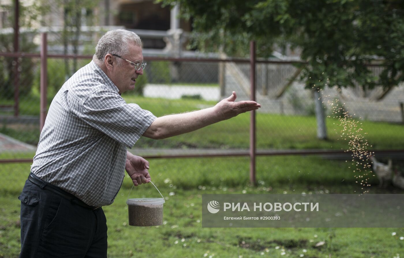 Ферма Владимира Жириновского