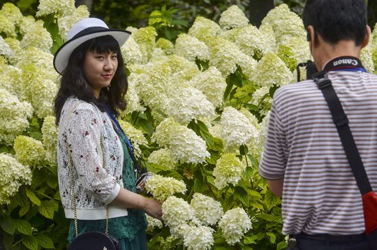 Эксперты прогнозируют рост потока иностранных туристов в Россию