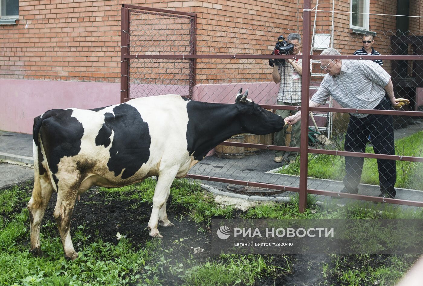 Ферма Владимира Жириновского