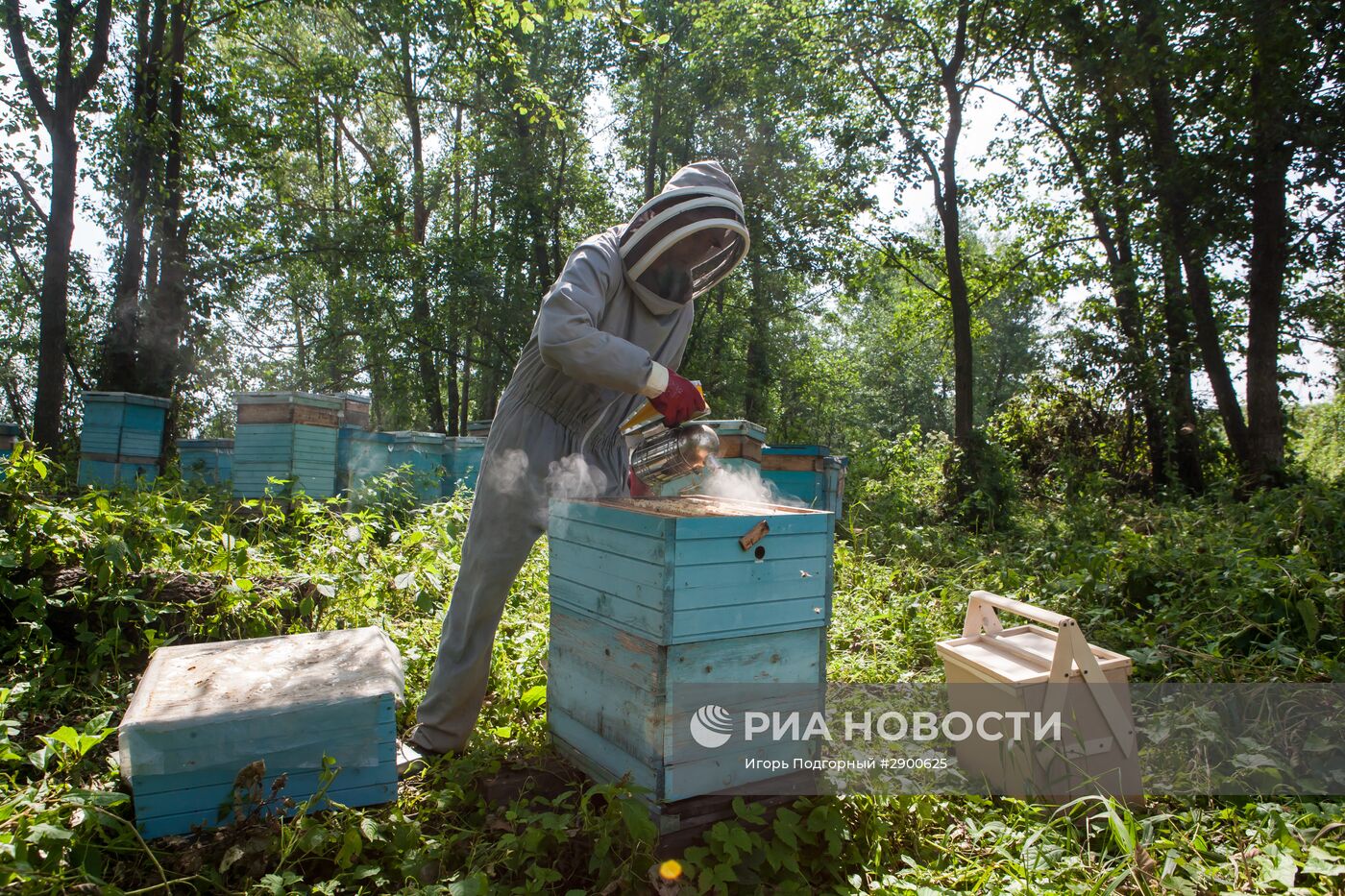 Пасека в Рязанской области