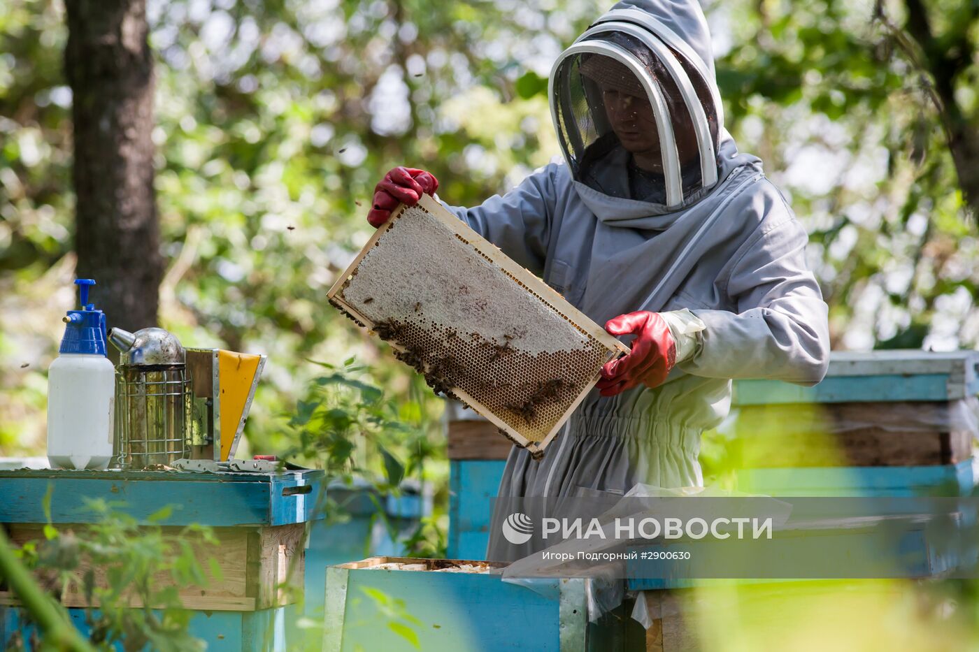 Пасека в Рязанской области