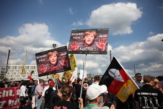 Акция протеста против политики Ангелы Меркель в Берлине