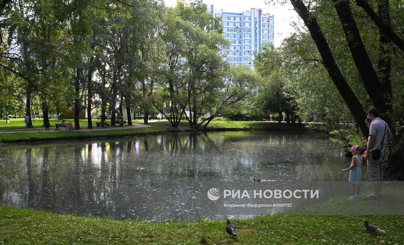 Отдых москвичей в Воронцовском парке