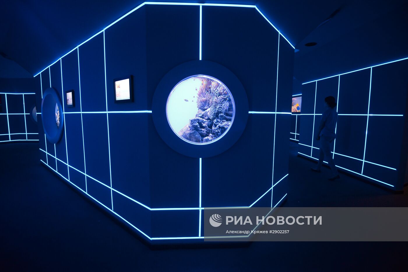 Открытие дельфинария в Новосибирске