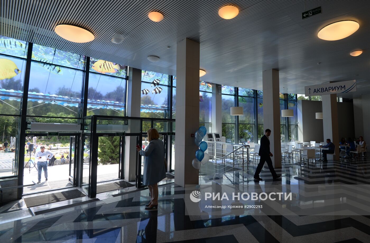 Открытие дельфинария в Новосибирске