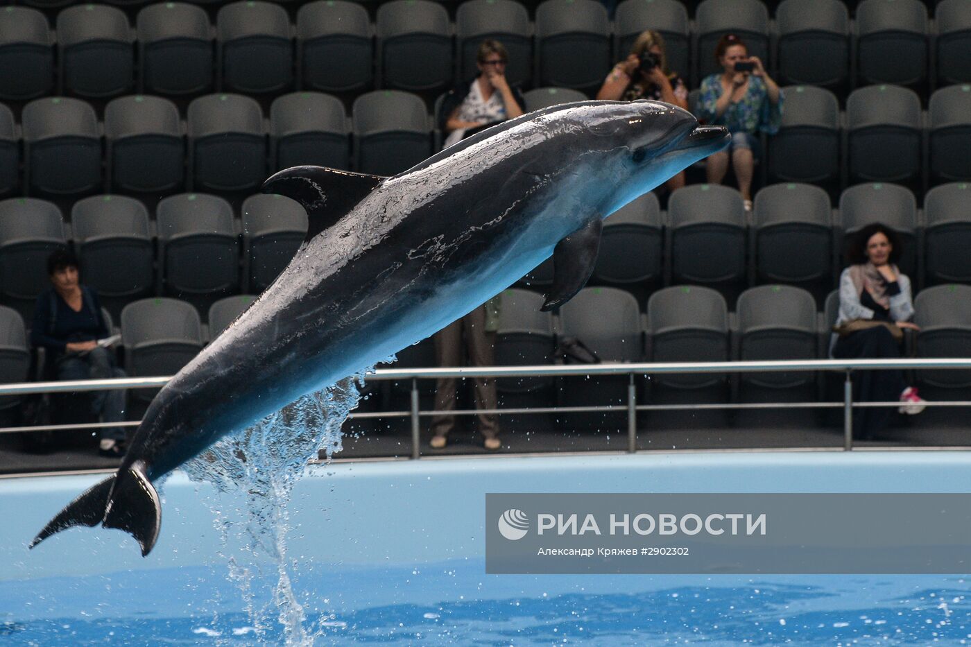 Открытие дельфинария в Новосибирске