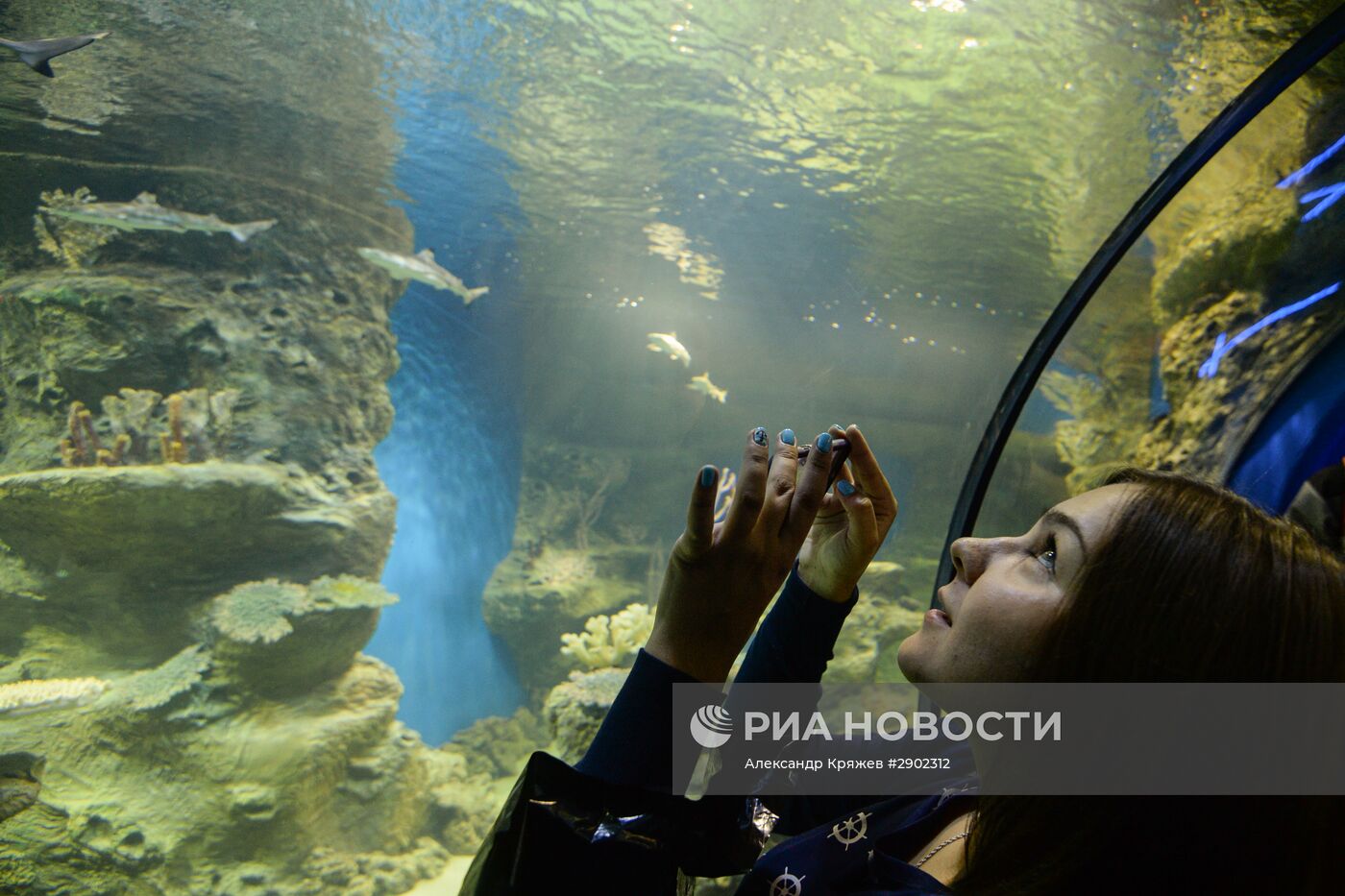 Открытие дельфинария в Новосибирске