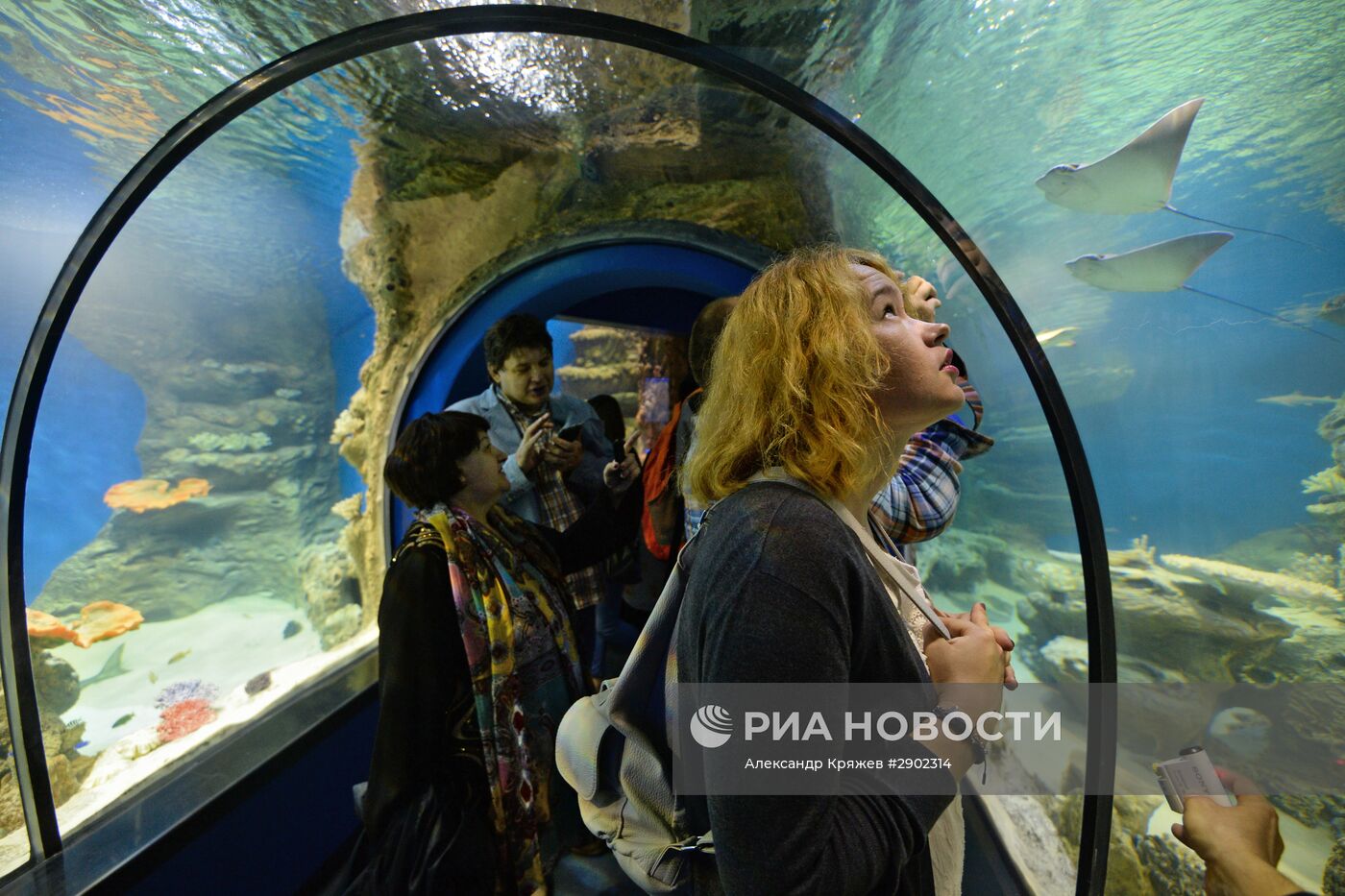 Открытие дельфинария в Новосибирске