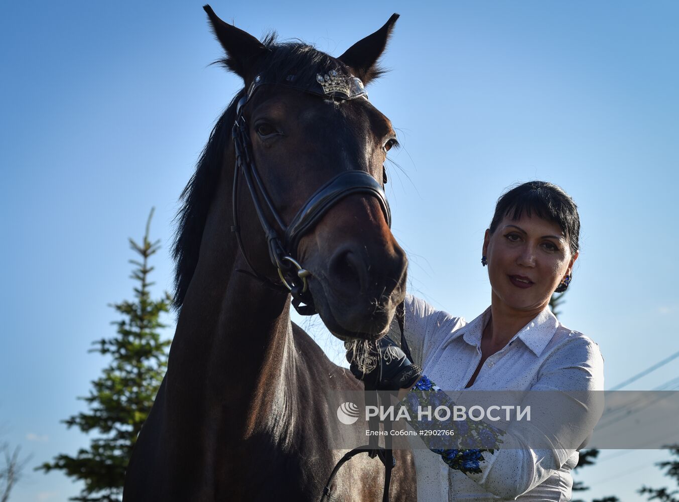 Cборная РФ по конному спорту