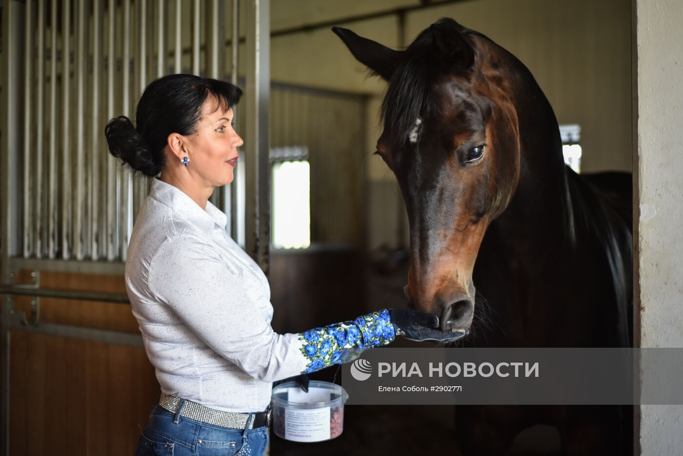 Cборная РФ по конному спорту