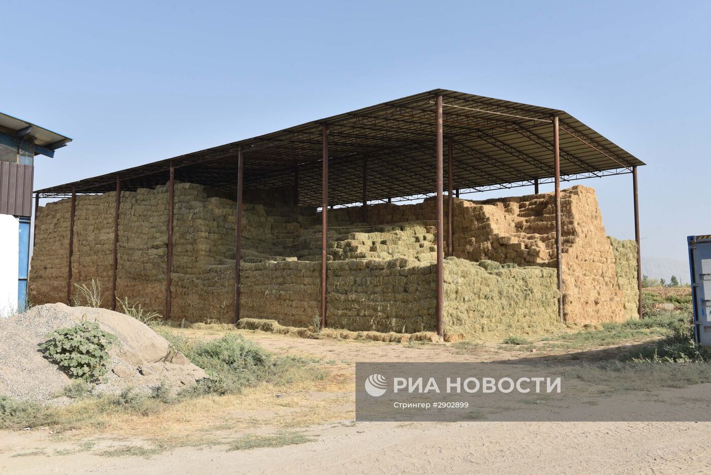Ферма ЗАО "Комбинати шири Душанбе" в Таджикистане