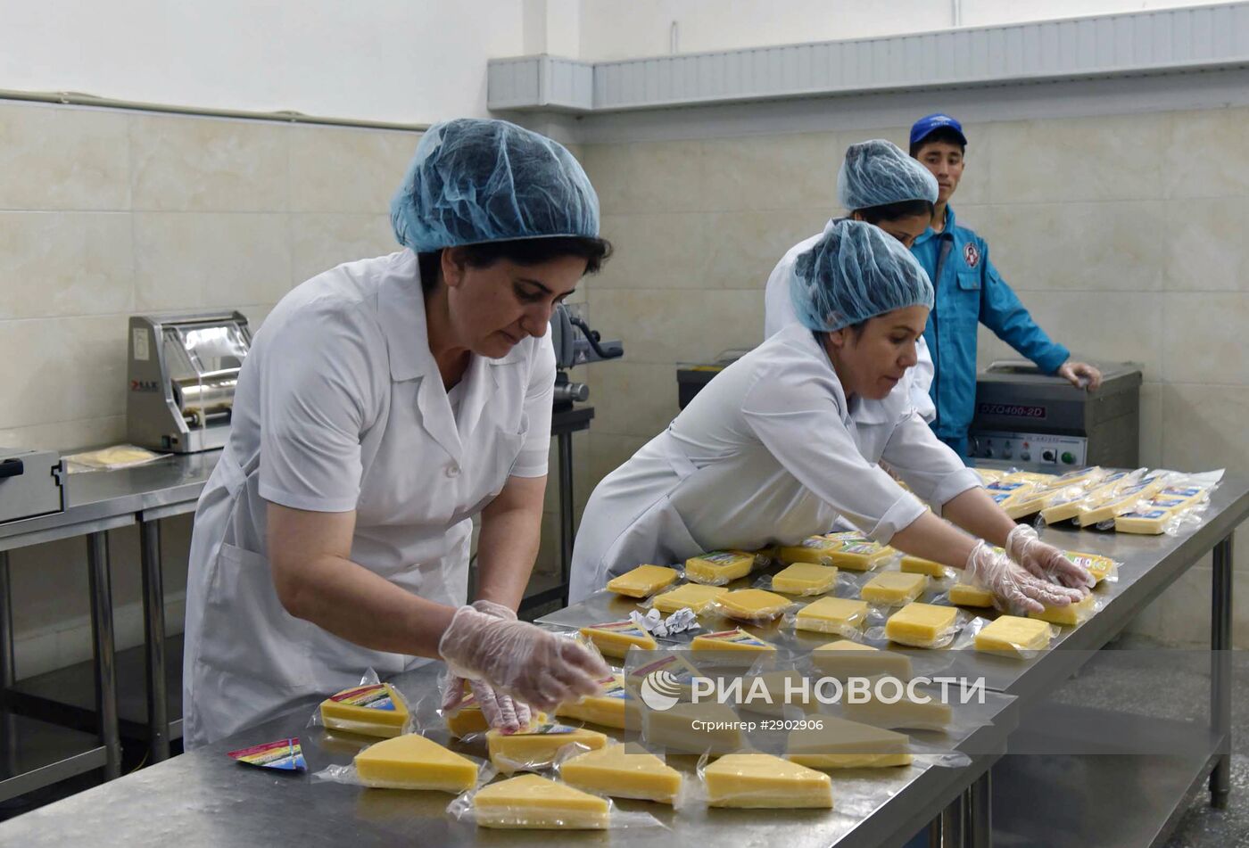 Ферма ЗАО "Комбинати шири Душанбе" в Таджикистане