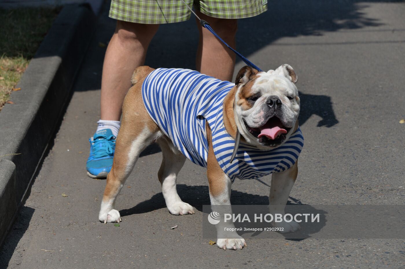 Празднование дня ВДВ в городах России