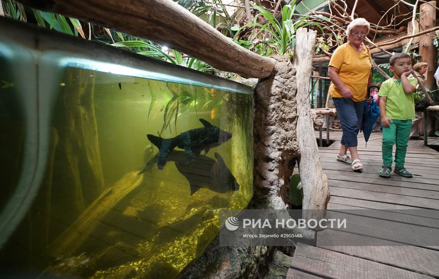 Зоопарк в Эберсвальде
