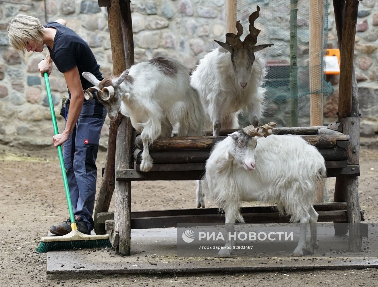Зоопарк в Эберсвальде