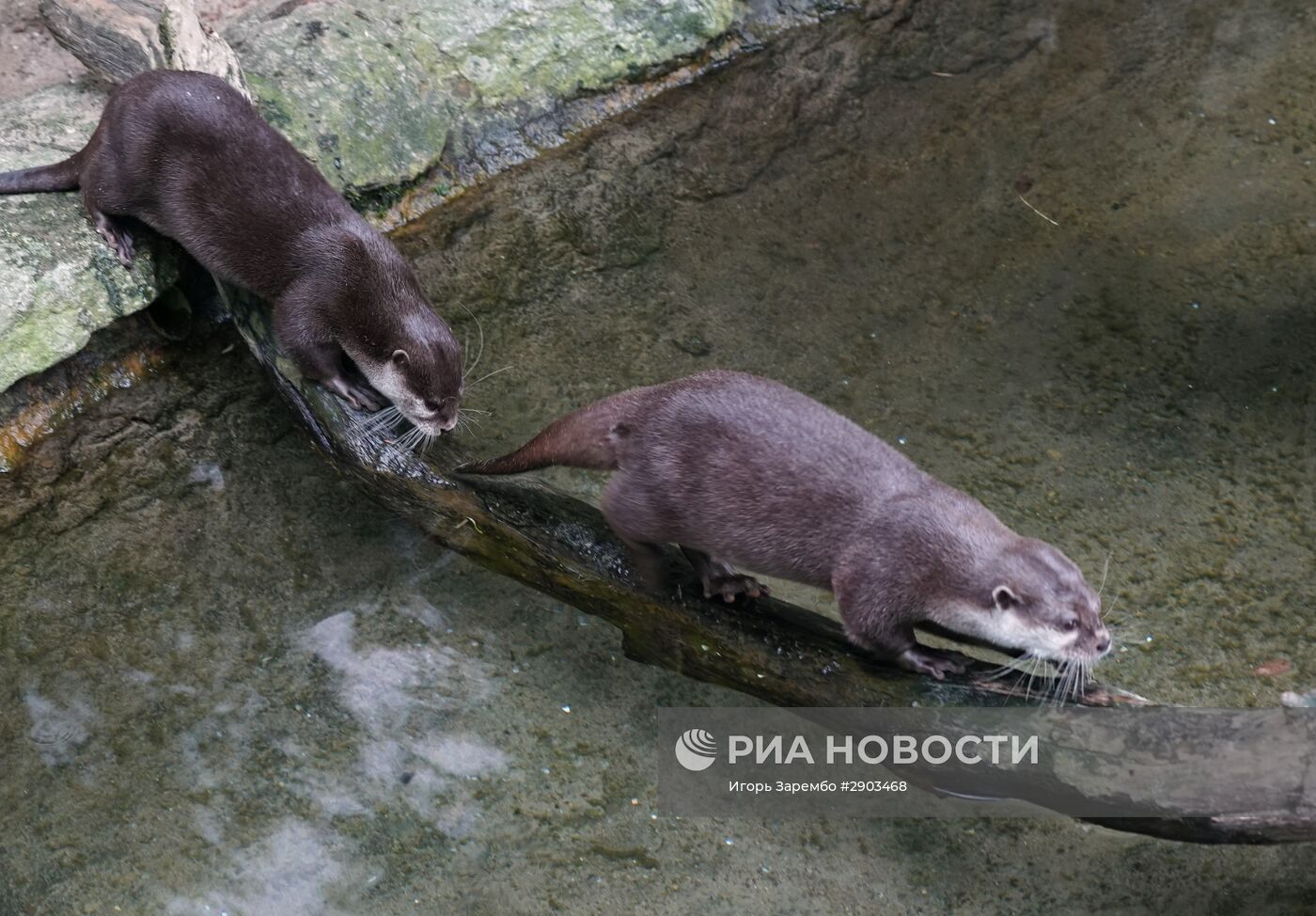 Зоопарк в Эберсвальде
