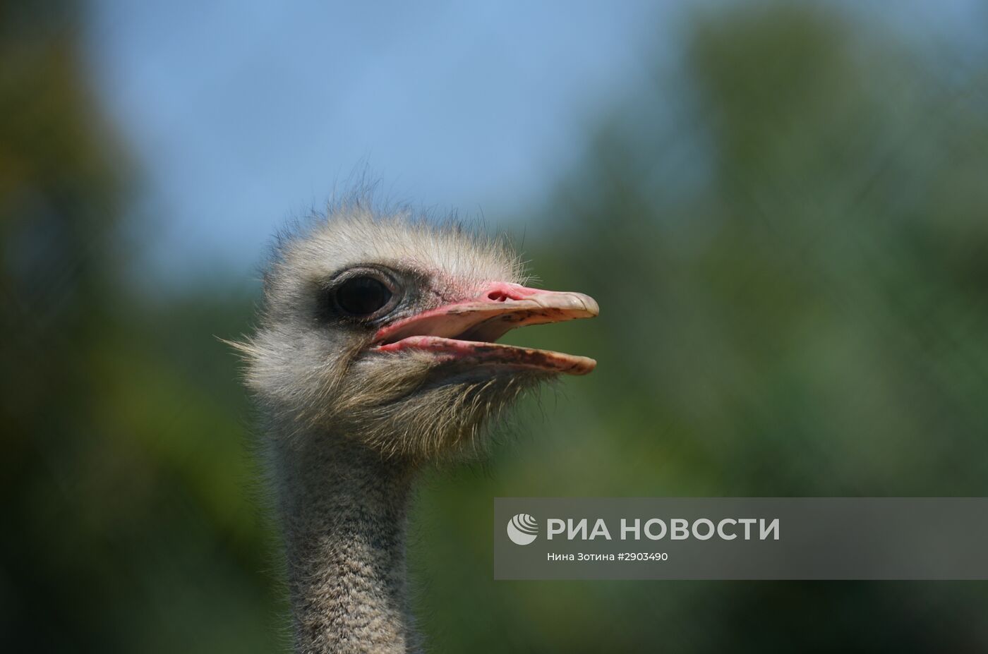 Парк "Дендрарий" в Сочи