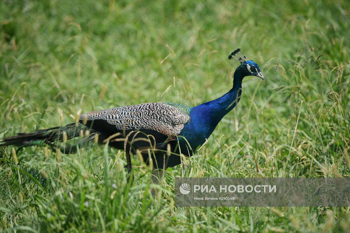 Парк "Дендрарий" в Сочи