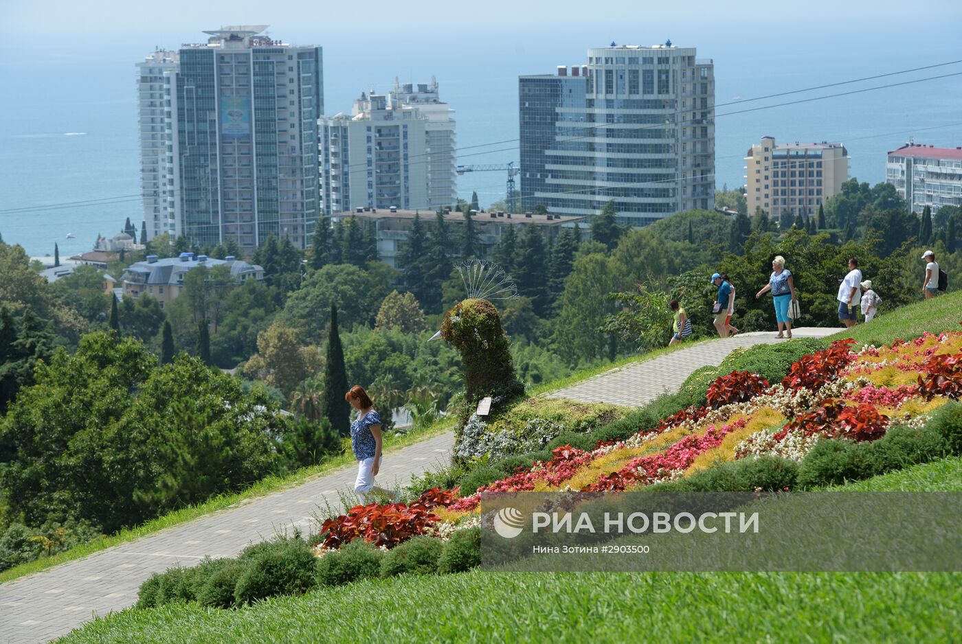 Парк "Дендрарий" в Сочи