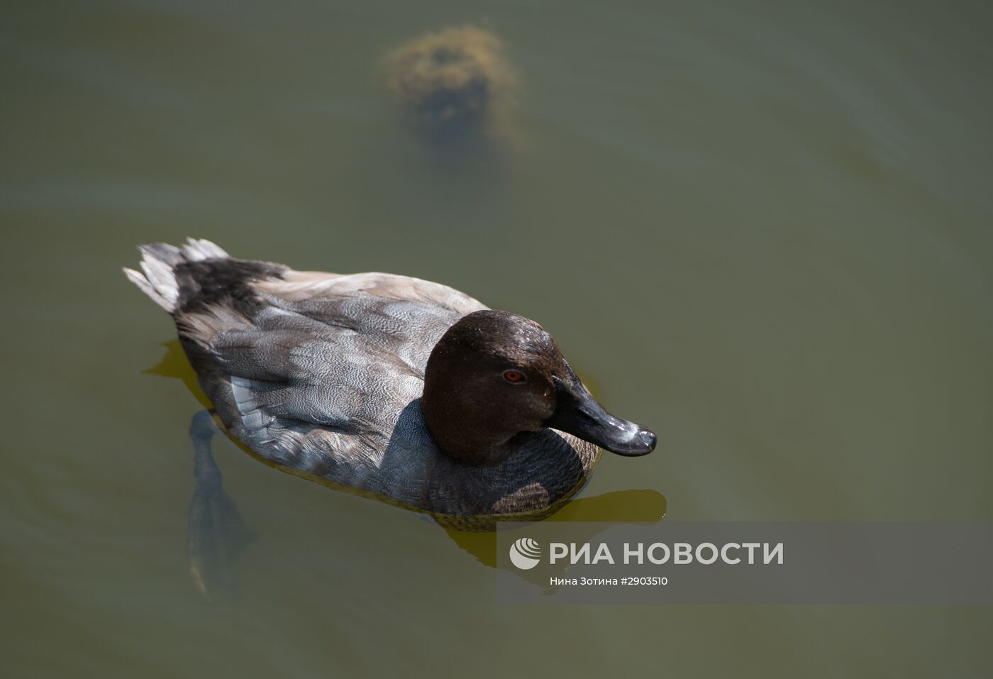 Парк "Дендрарий" в Сочи