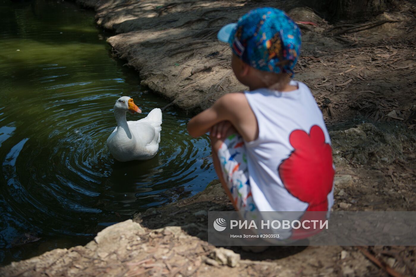 Парк "Дендрарий" в Сочи