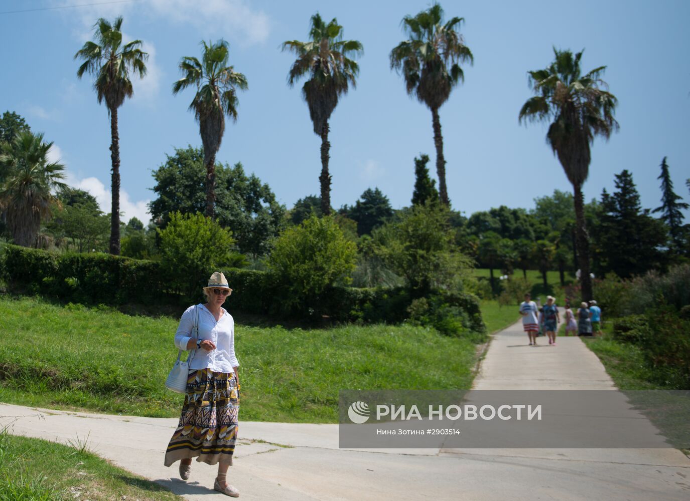 Парк "Дендрарий" в Сочи