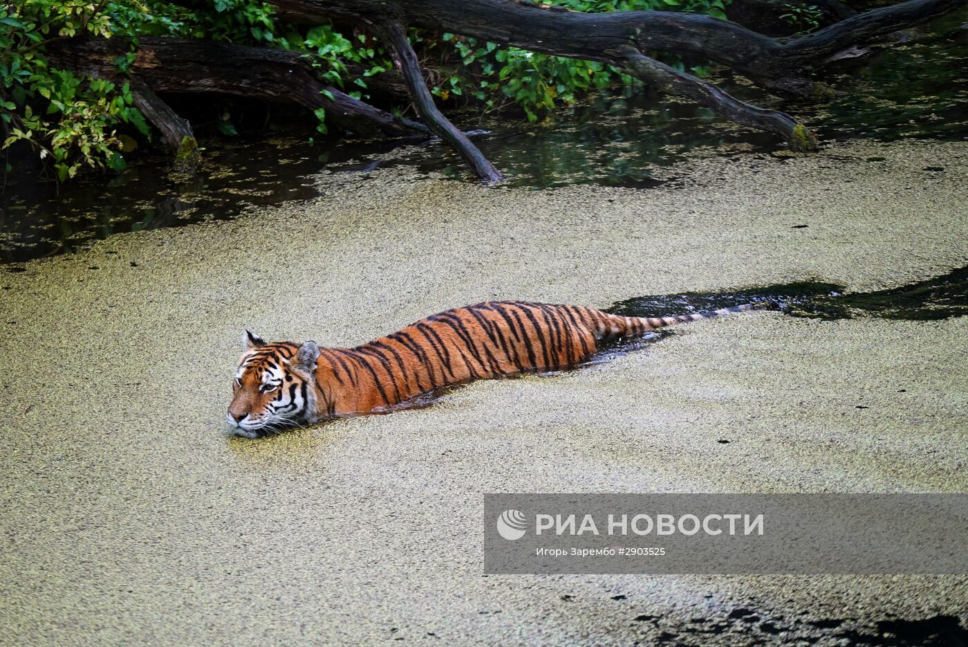 Зоопарк в Эберсвальде