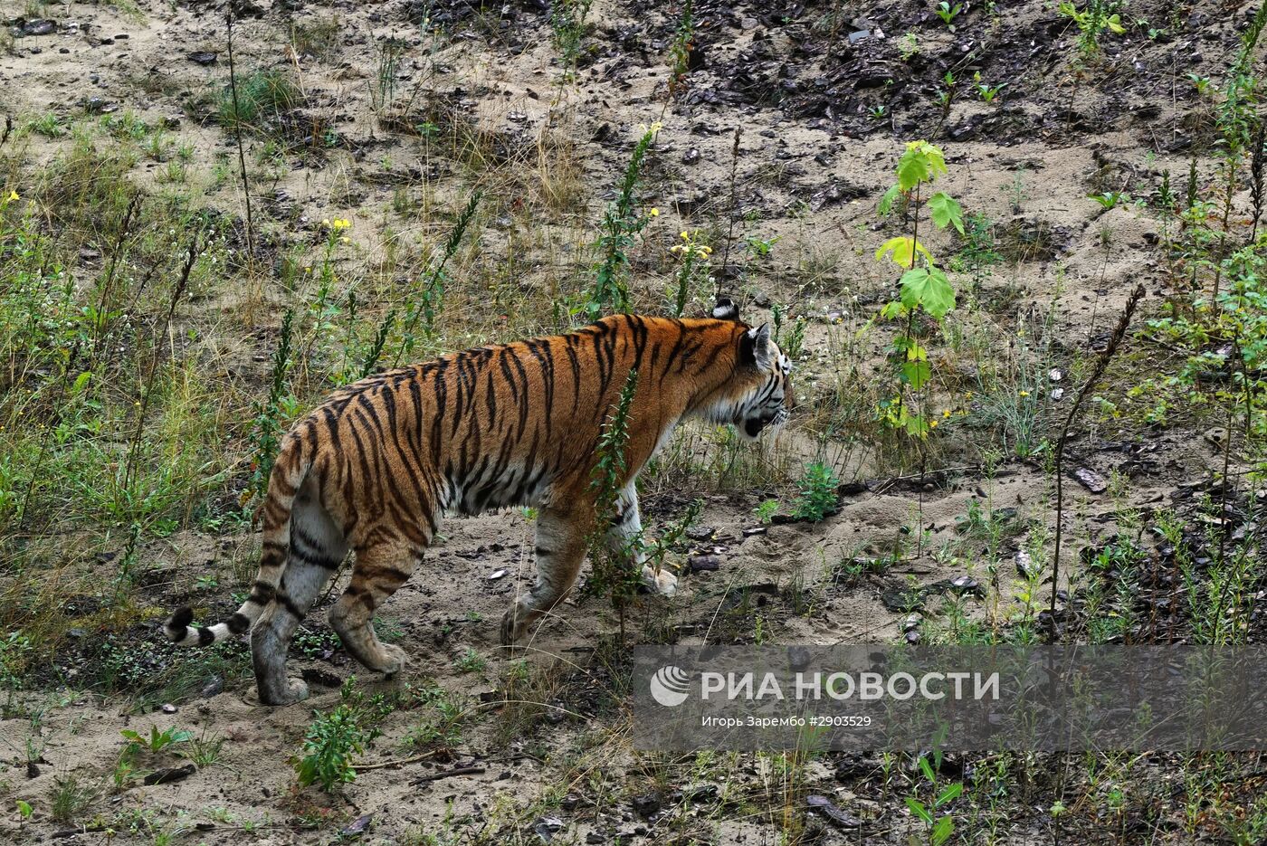 Зоопарк в Эберсвальде