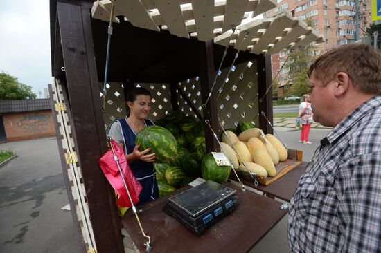 Продажа бахчевых в Москве