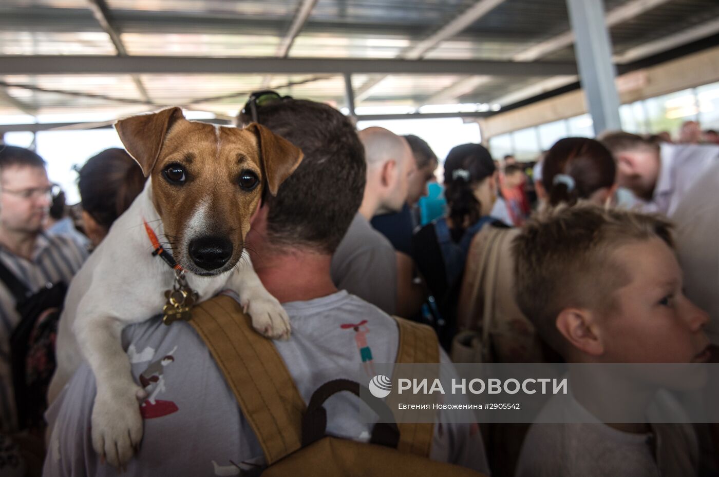 Повседневная жизнь