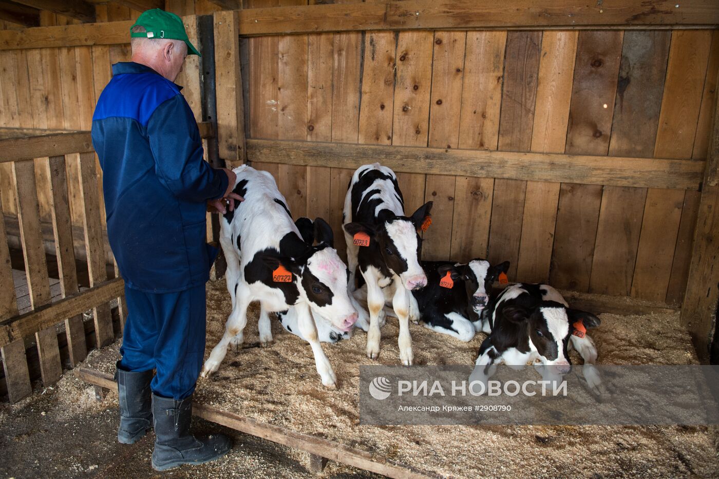 Вакцинация животных в Новосибирской области