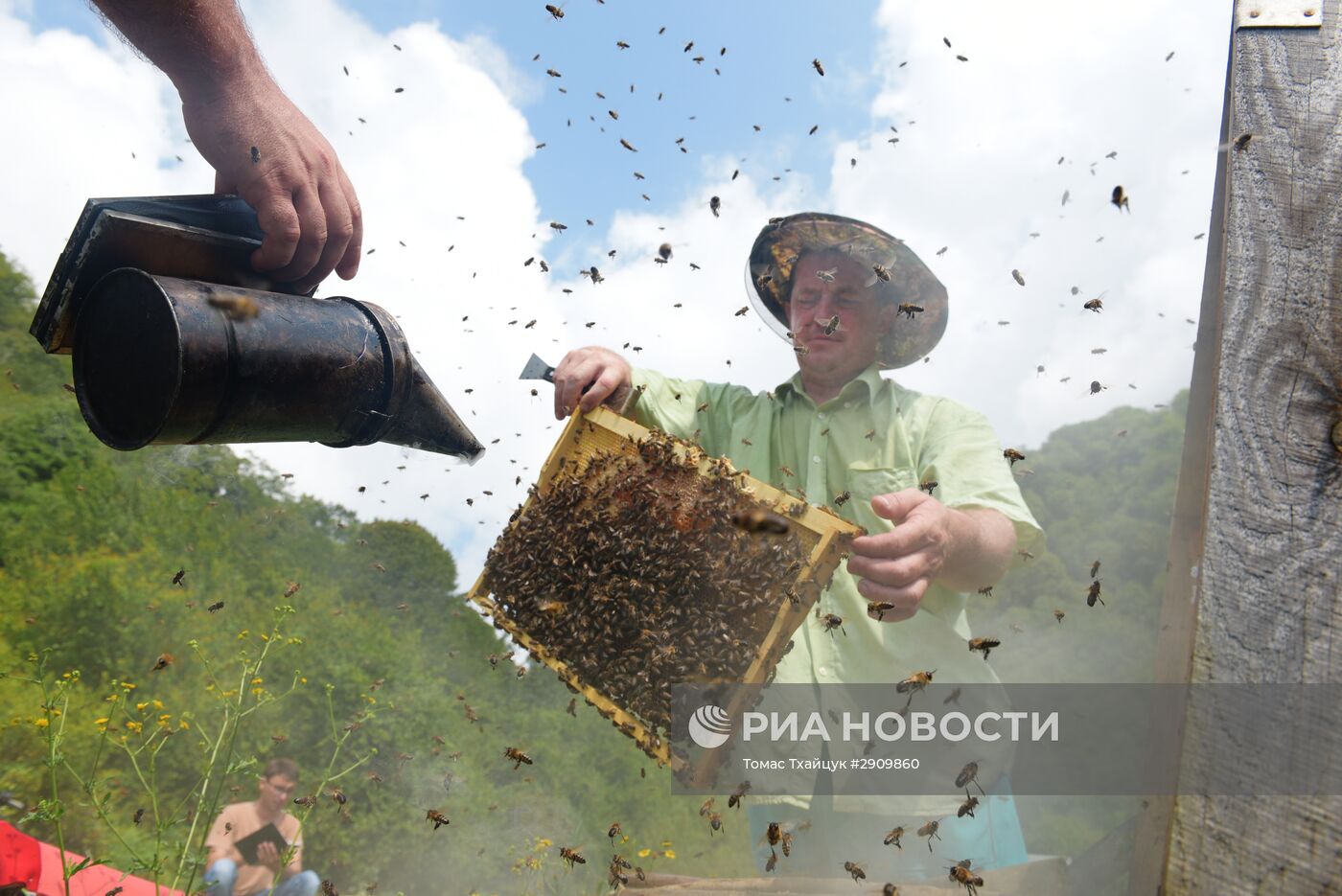 Пчеловодство в Абхазии