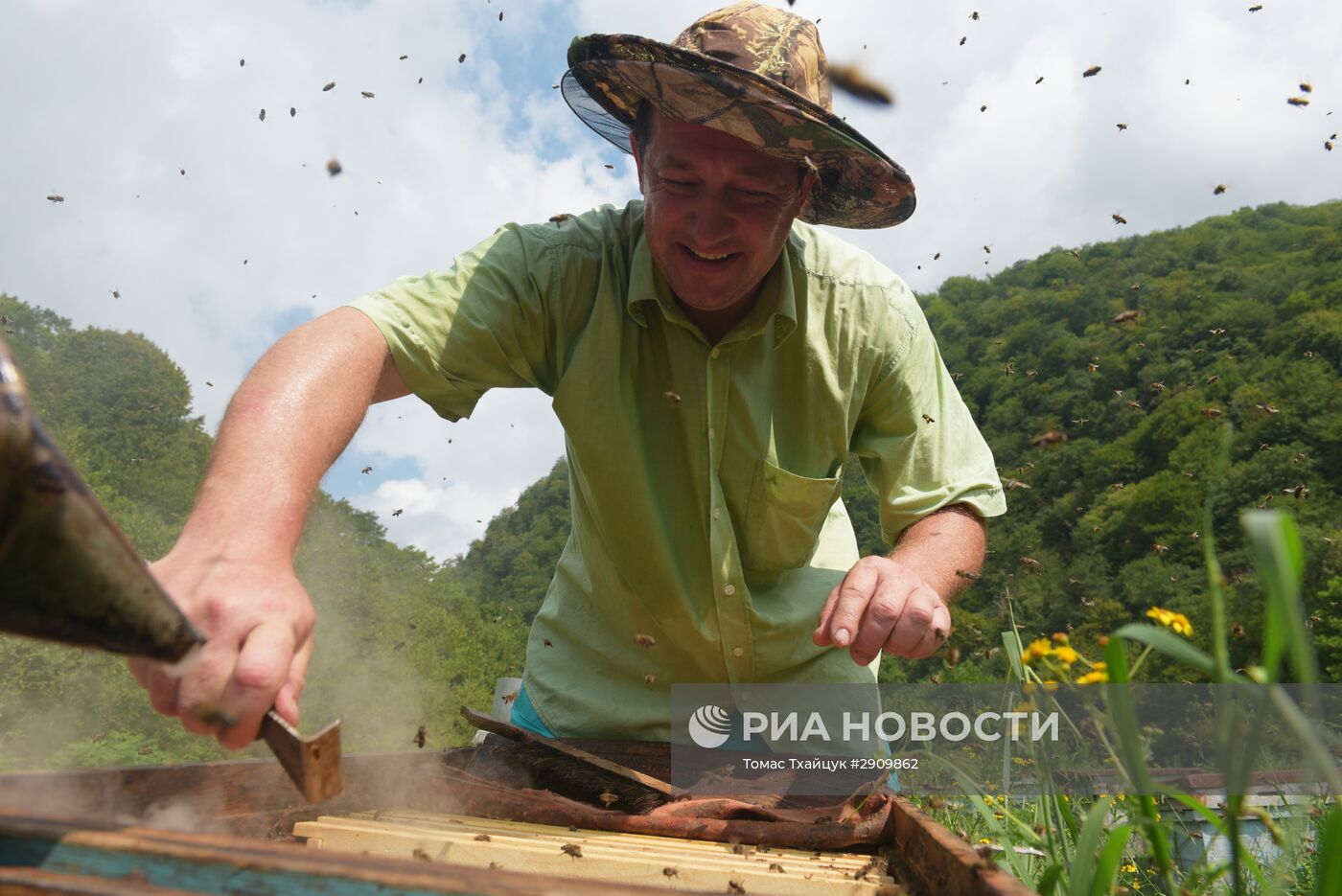 Пчеловодство в Абхазии