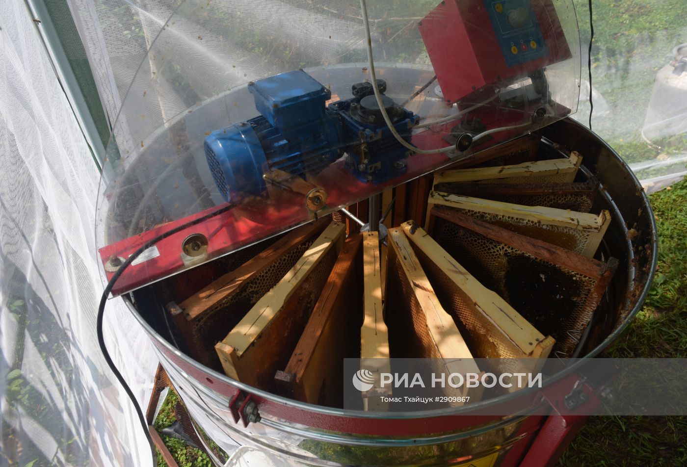 Пчеловодство в Абхазии