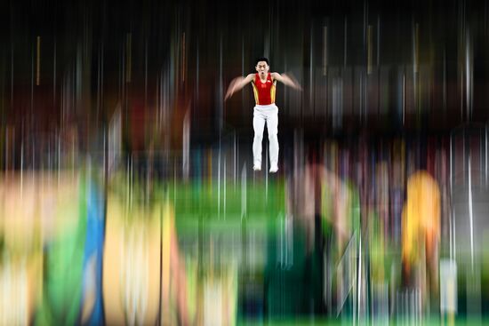 Олимпиада 2016. Прыжки на батуте. Мужчины