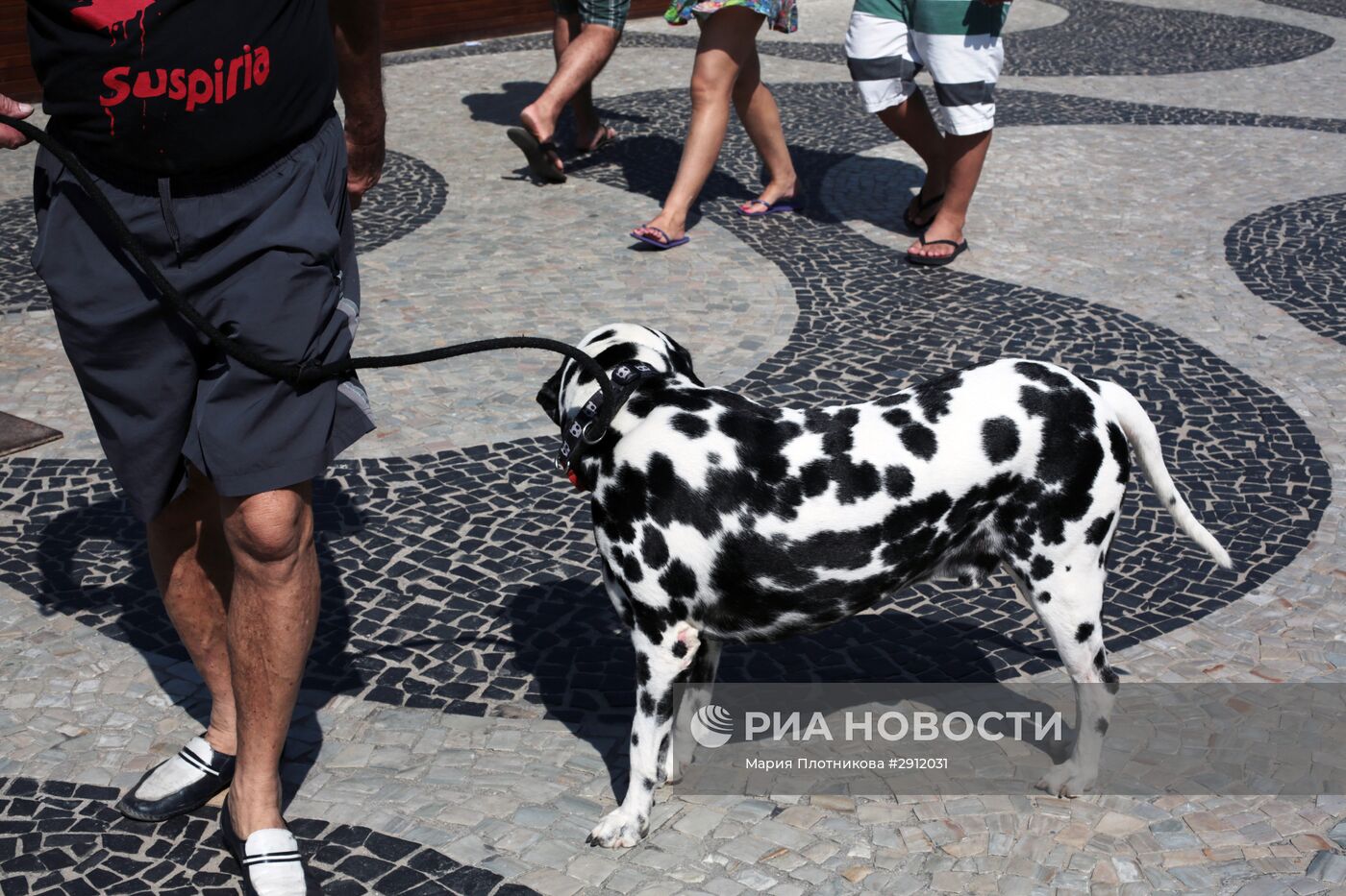 Города мира. Рио-де-Жанейро
