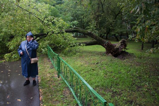 Дождь в Москве