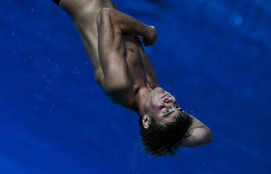 Олимпиада 2016. Прыжки в воду. Мужчины. Трамплин 3 м