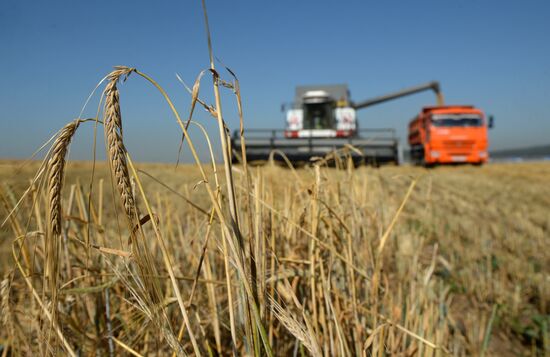 Уборка зерновых в Свердловской области