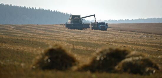 Уборка зерновых в Свердловской области