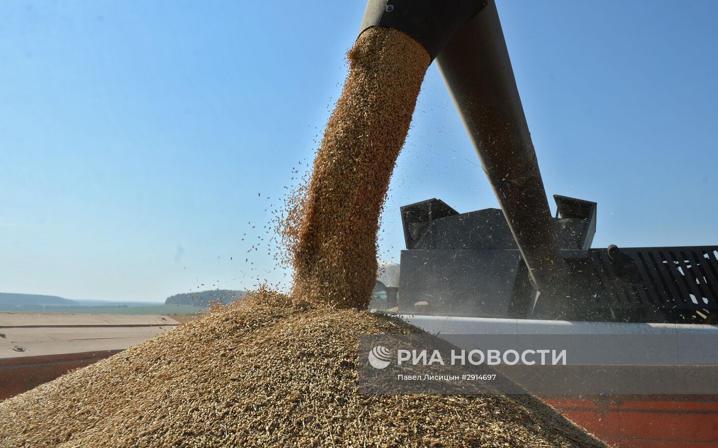 Уборка зерновых в Свердловской области