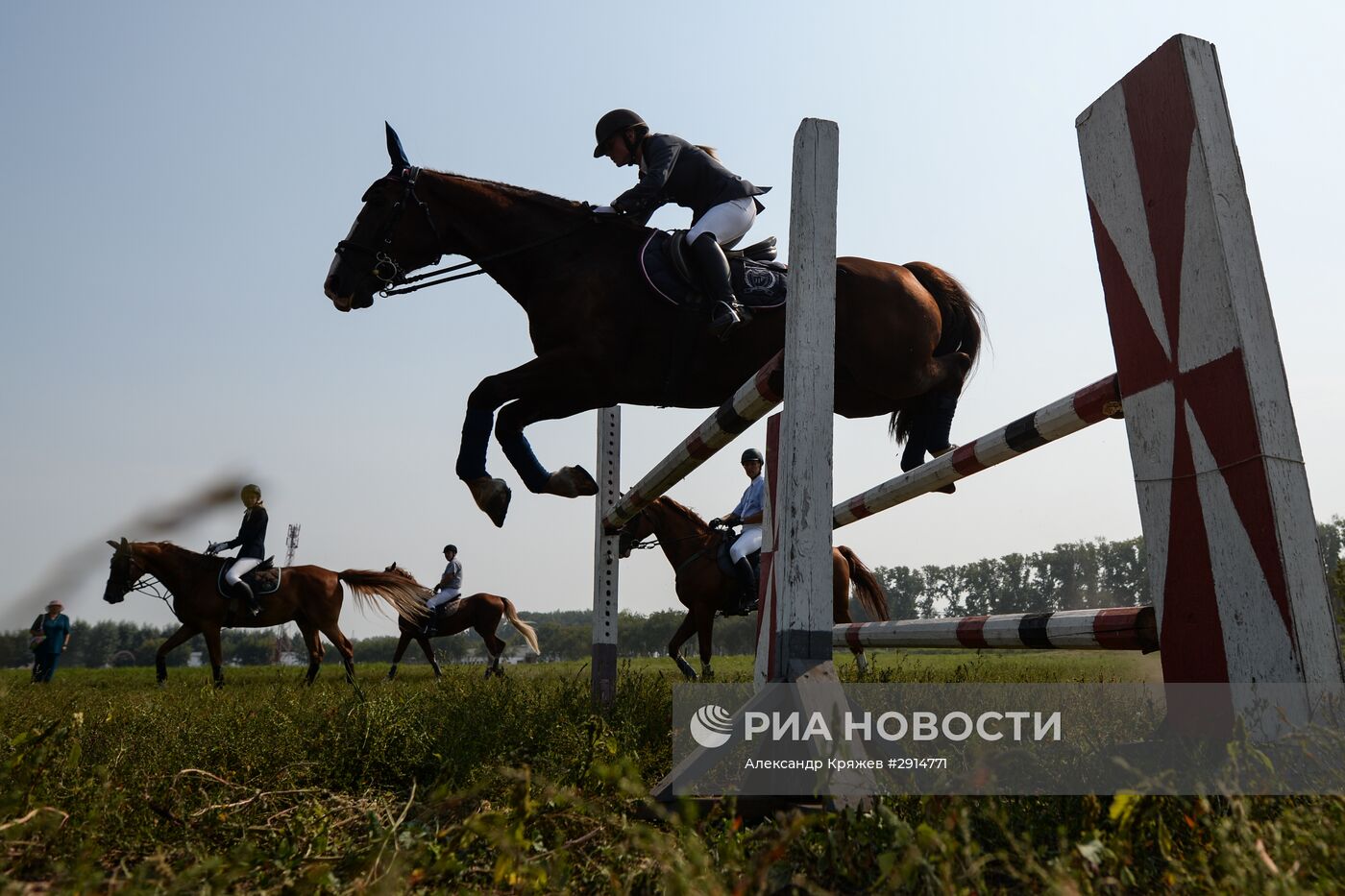 Чемпионат Новосибирской области по конкуру и выездке