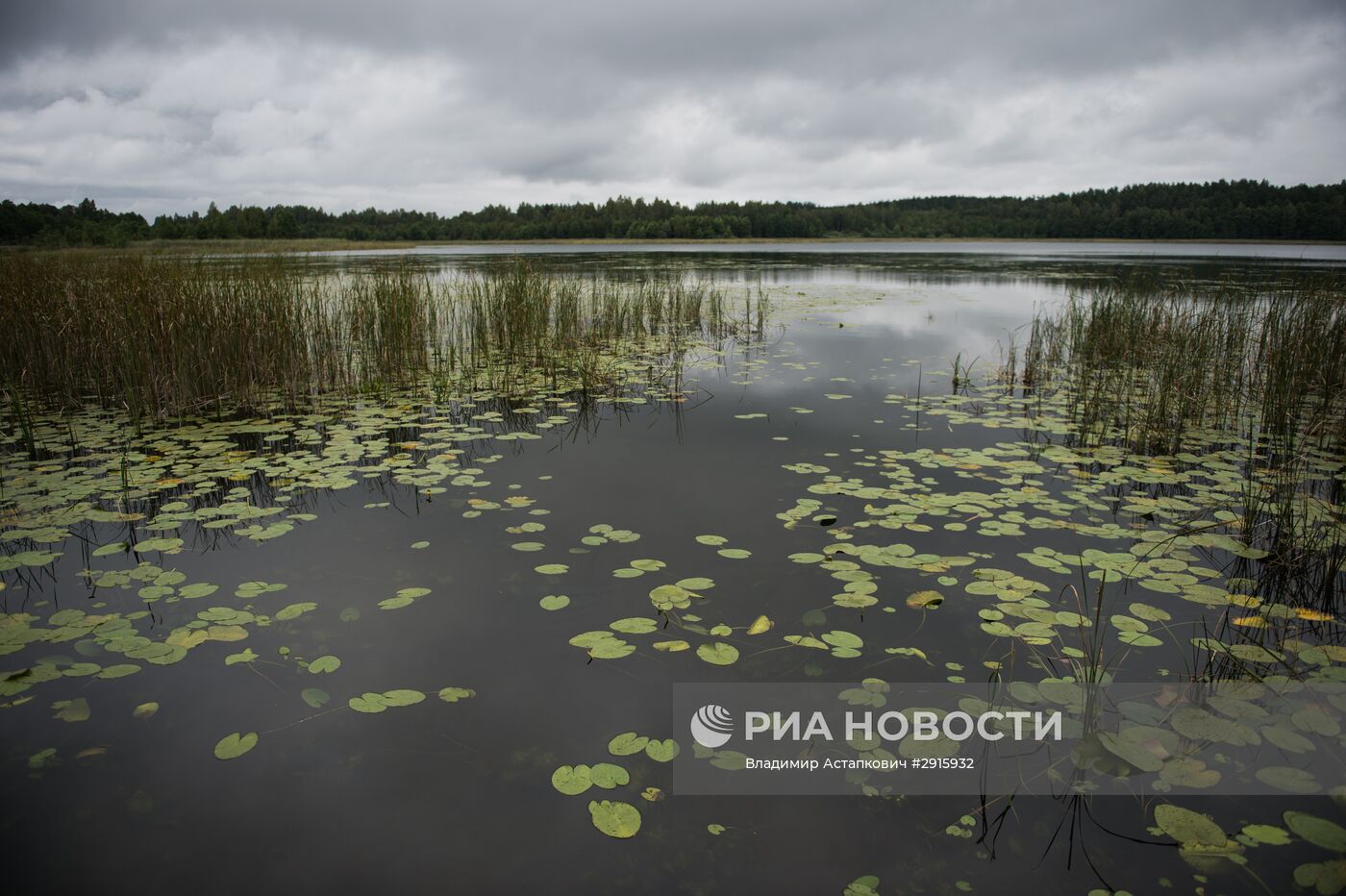 Города России. Себеж