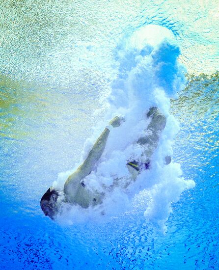 Олимпиада 2016. Прыжки в воду. Мужчины. Вышка 10 м