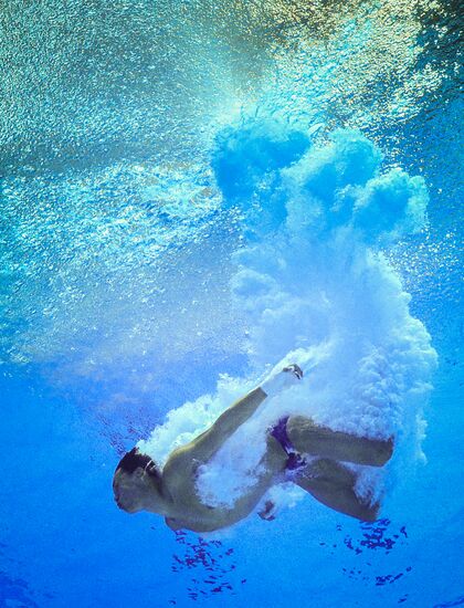 Олимпиада 2016. Прыжки в воду. Мужчины. Вышка 10 м