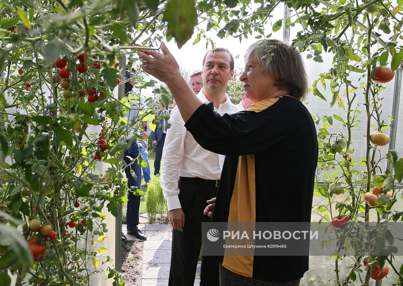 Рабочая поездка премьер-министра РФ Д. Медведева в Курскую область